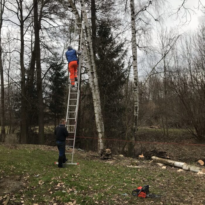 Brigáda a údržba areálu