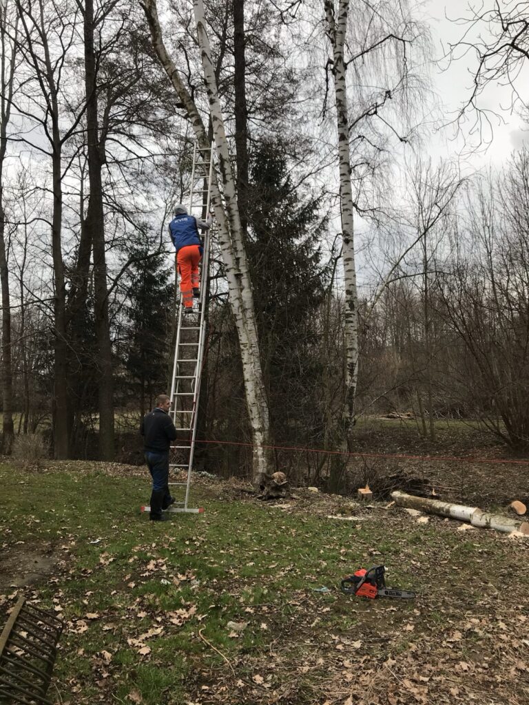Brigáda a údržba areálu