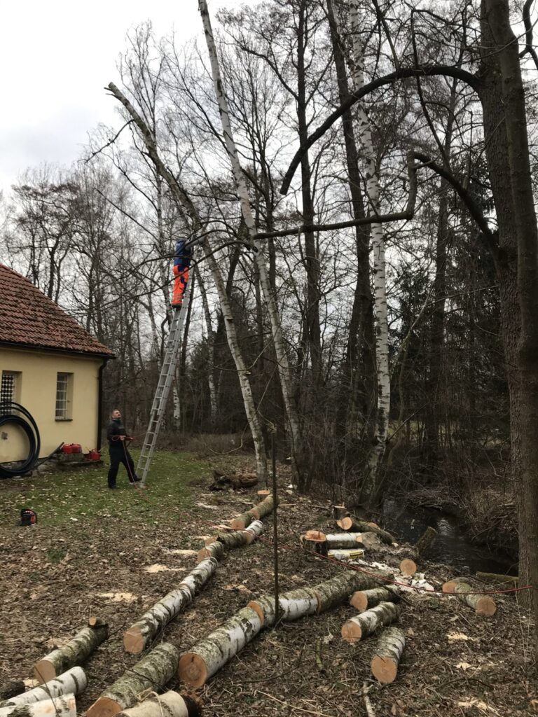 Brigáda a údržba areálu